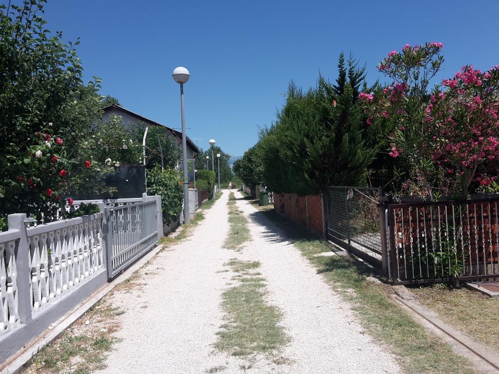 Apartman Nin-Dodo Exterior foto